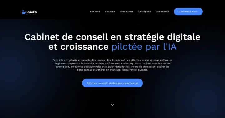 junto meilleures agences prospection commerciale lyon