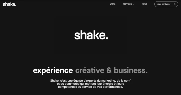 shake meilleure agence prospection lille
